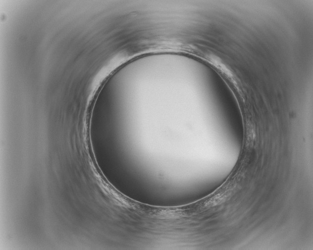 X0000060241480200510281106