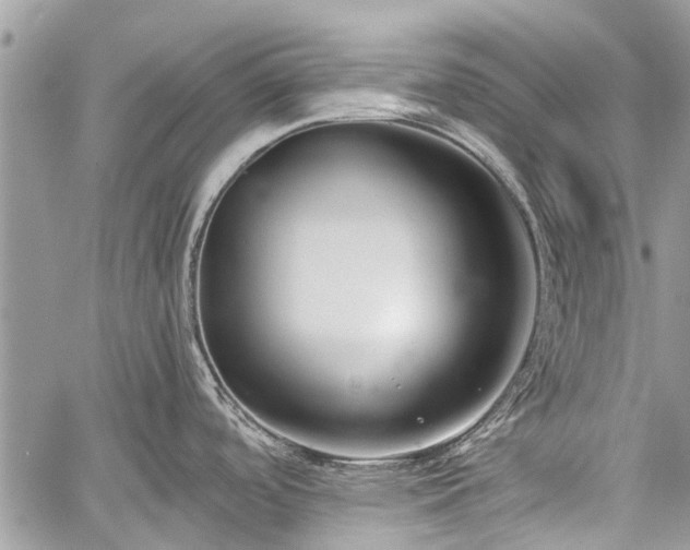 X0000060241488200510281106
