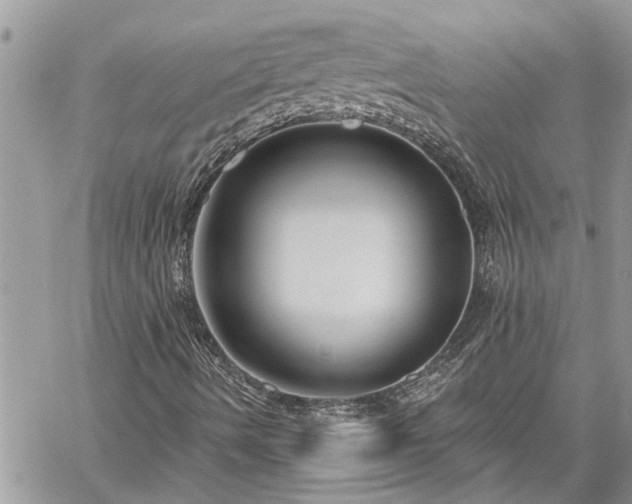 X0000060241490200510281105