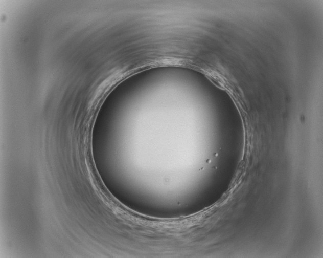 X0000060240001200510311534