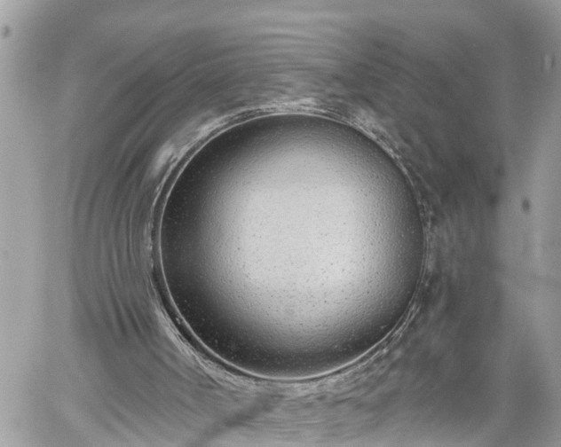 X0000060240002200510311534