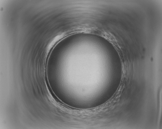 X0000060240003200510311534