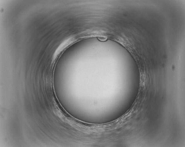 X0000060240004200510311534