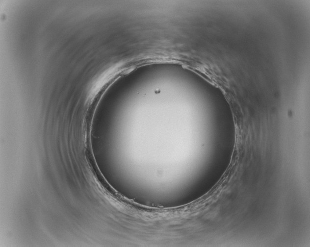 X0000060240005200510311534