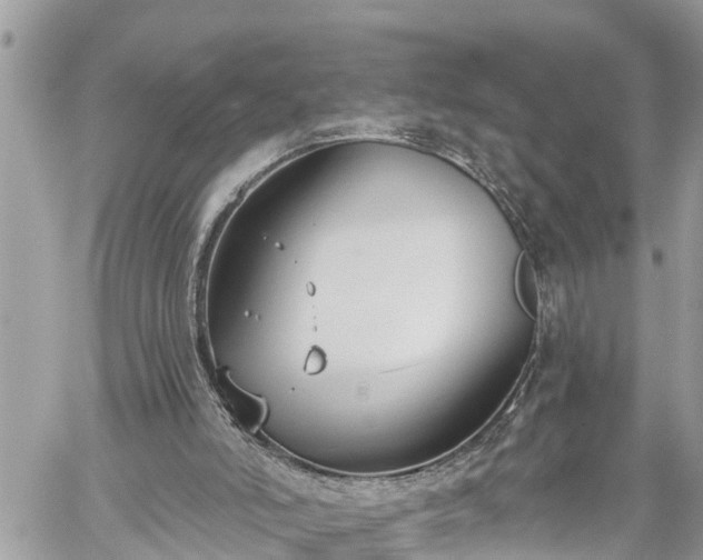 X0000060240006200510311534