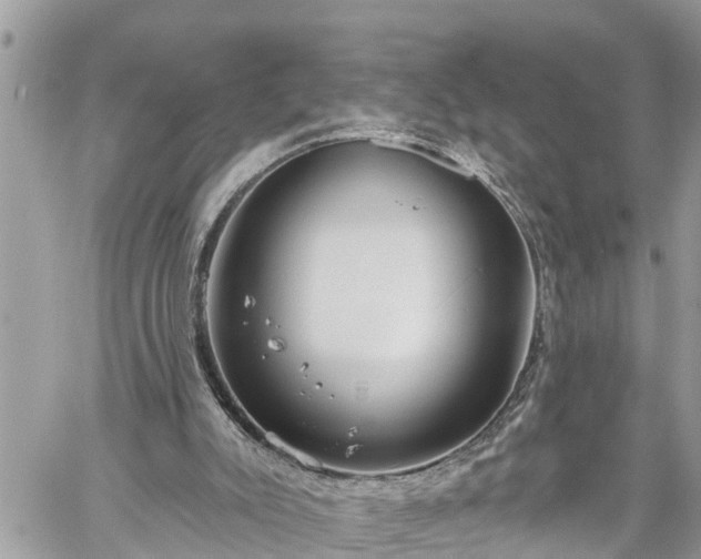 X0000060240007200510311534