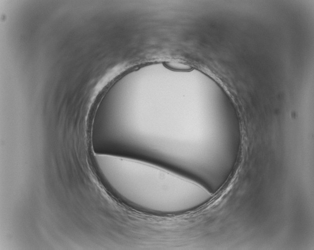 X0000060240008200510311534