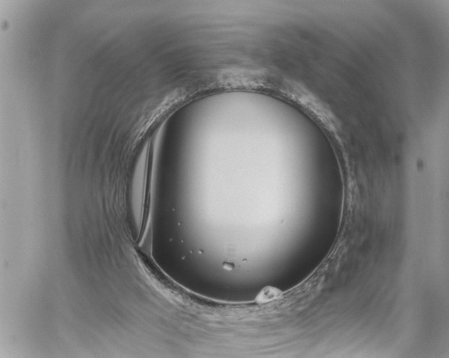 X0000060240009200510311534