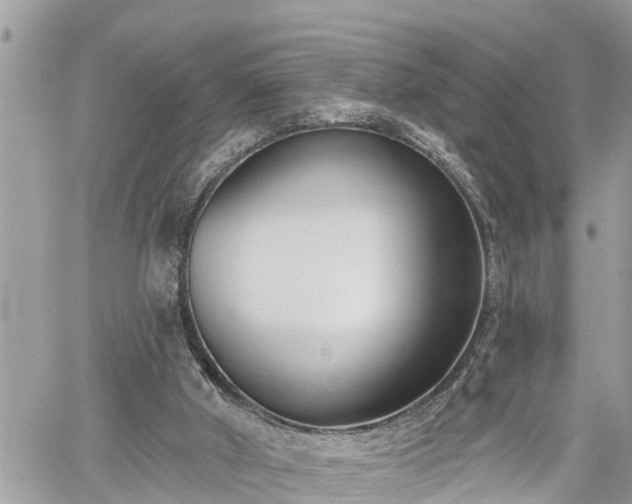 X0000060240010200510311534