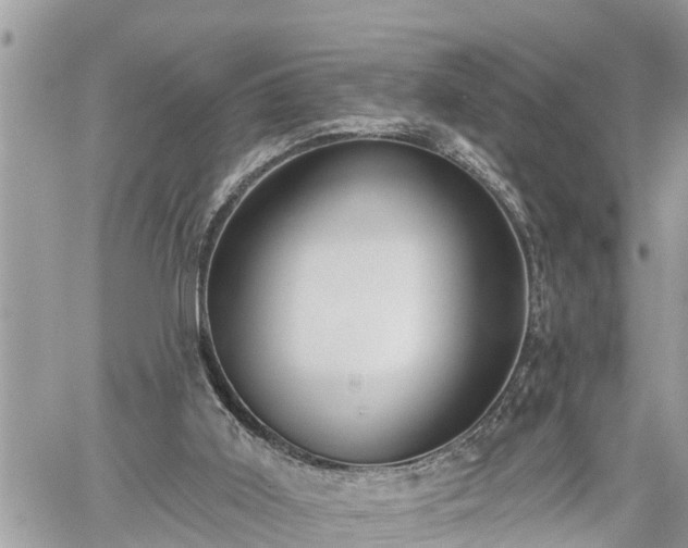 X0000060240011200510311534