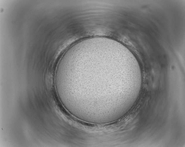 X0000060240012200510311534