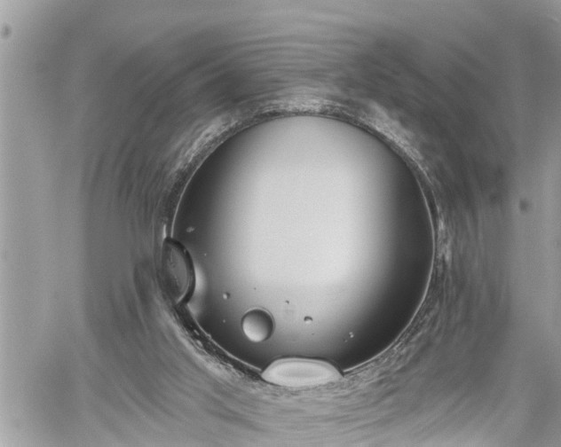 X0000060240013200510311534