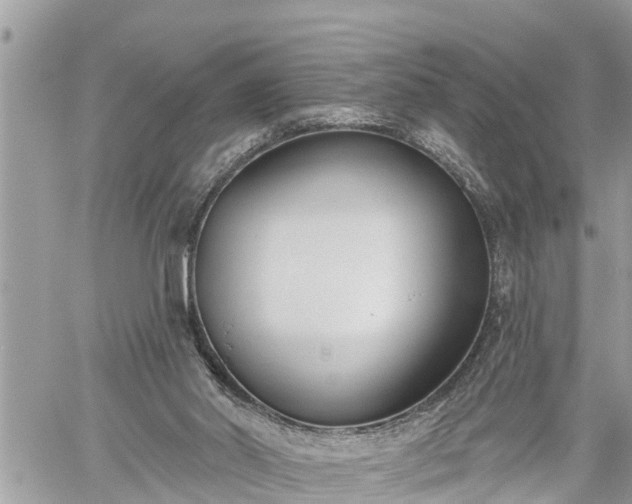 X0000060240014200510311534