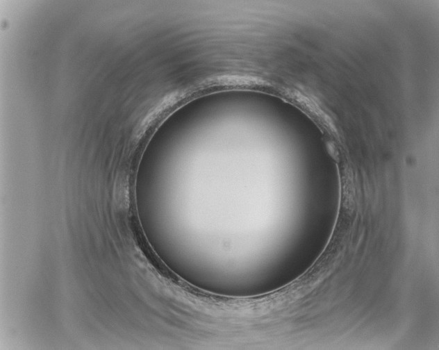 X0000060240015200510311534