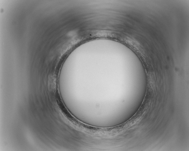 X0000060240016200510311534