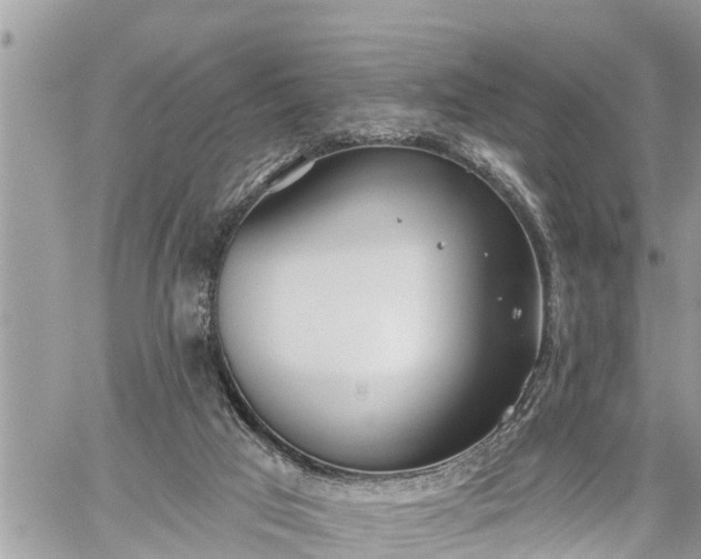 X0000060240017200510311534