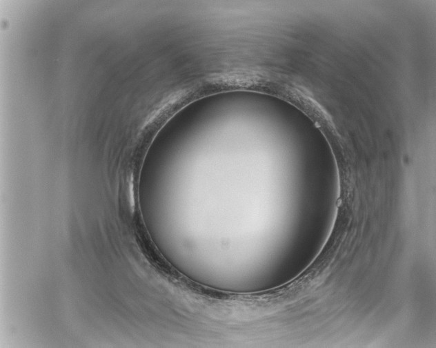 X0000060240020200510311534