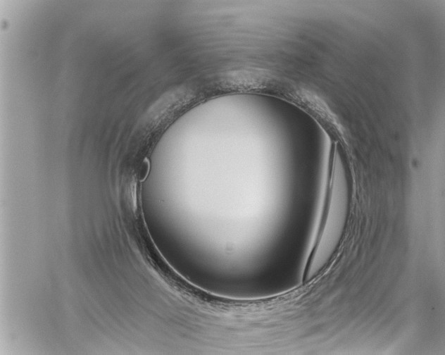 X0000060240021200510311534