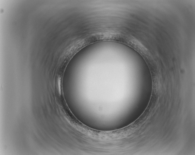 X0000060240022200510311534