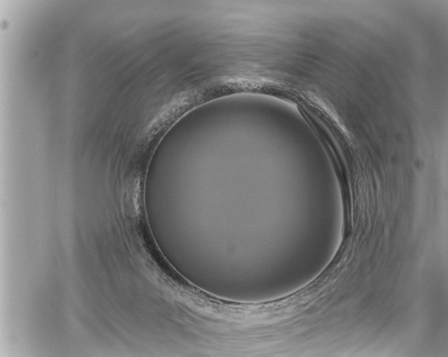 X0000060240023200510311534