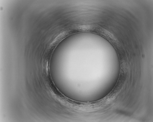 X0000060240024200510311534