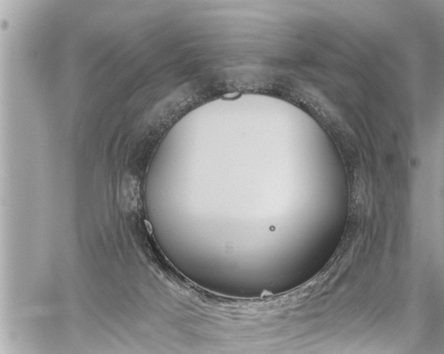 X0000060240025200510311534