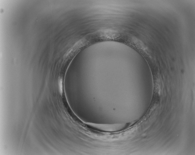 X0000060240027200510311534