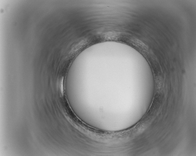 X0000060240028200510311534