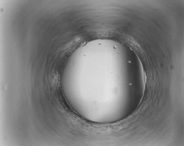 X0000060240029200510311534