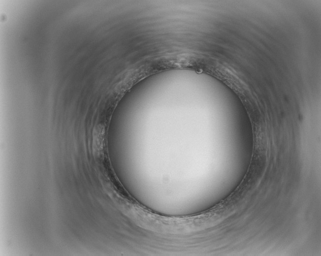 X0000060240030200510311534