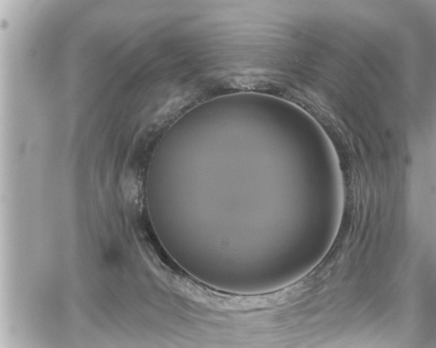 X0000060240031200510311533