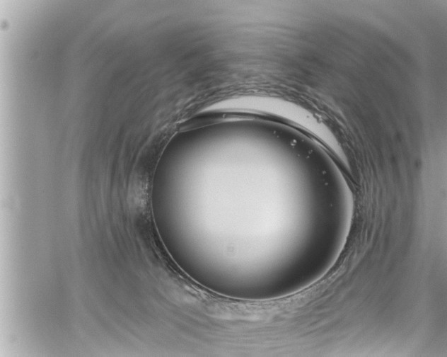 X0000060240033200510311533