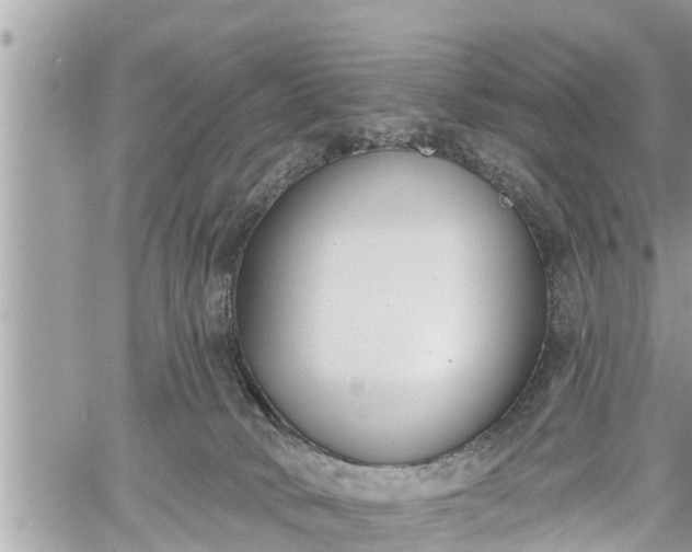 X0000060240034200510311533