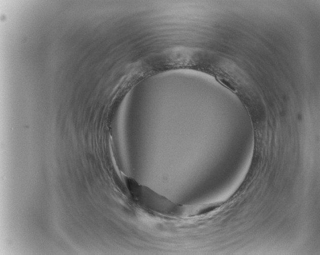 X0000060240035200510311533