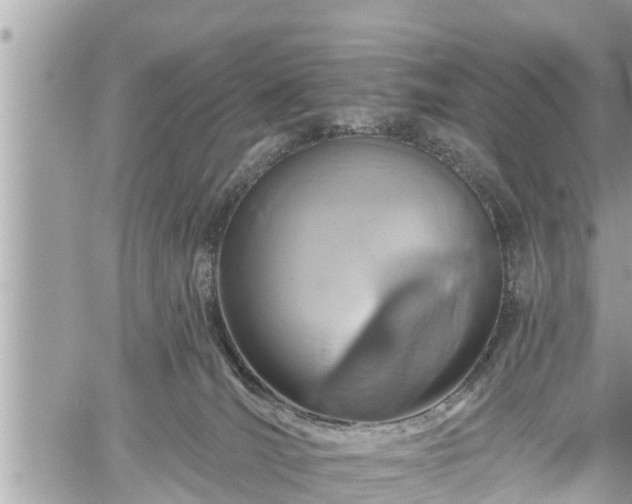 X0000060240036200510311533