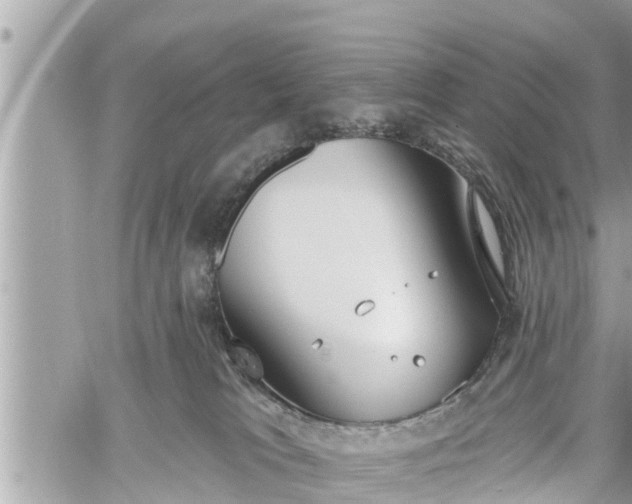 X0000060240037200510311533