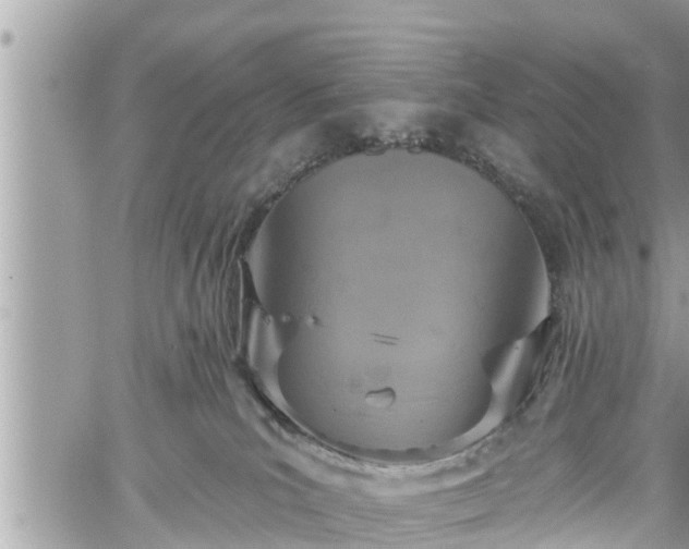 X0000060240039200510311533