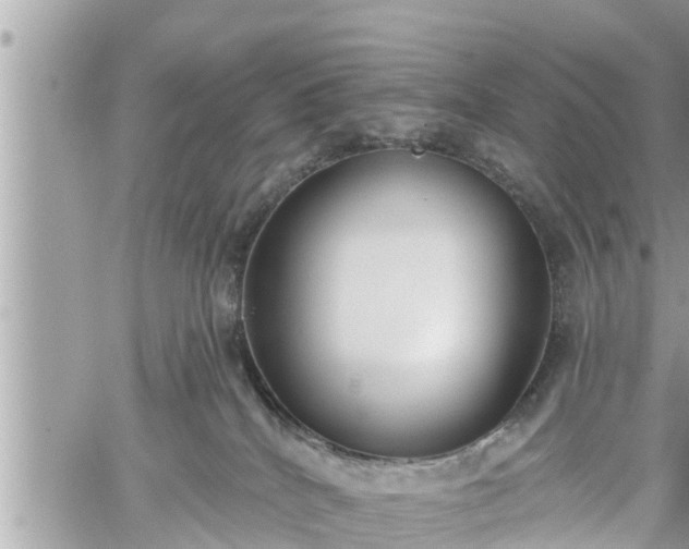 X0000060240040200510311533