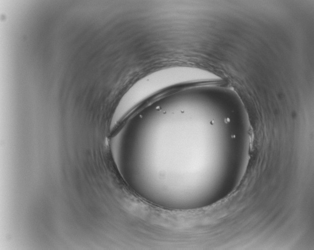 X0000060240041200510311533