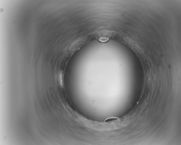 X0000060240042200510311533