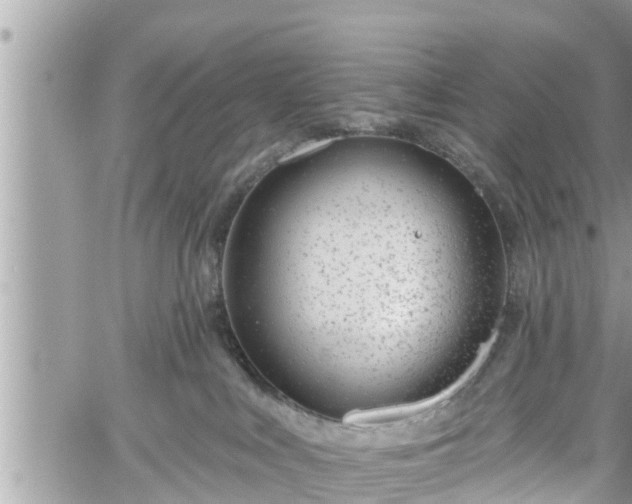 X0000060240043200510311533