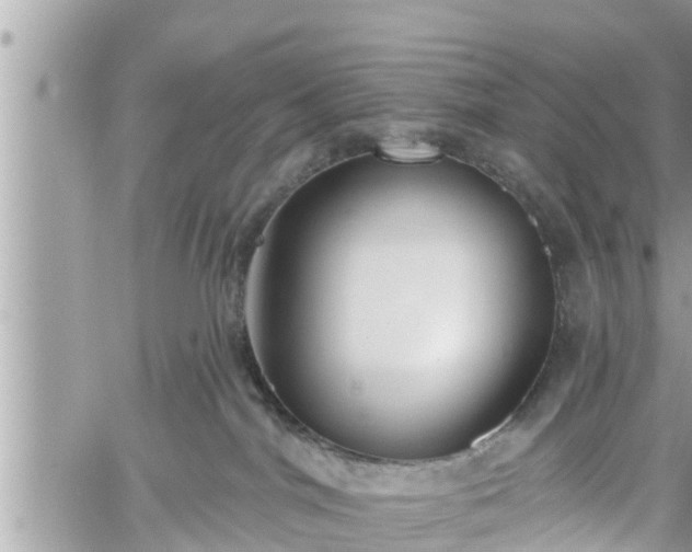 X0000060240044200510311533