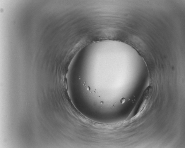 X0000060240045200510311533