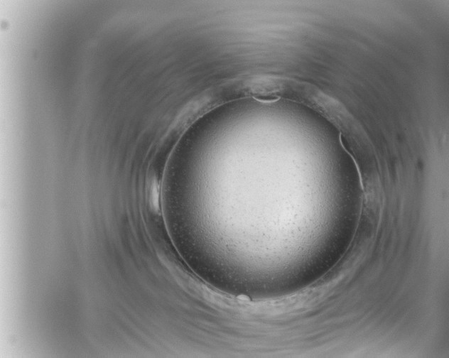 X0000060240046200510311533