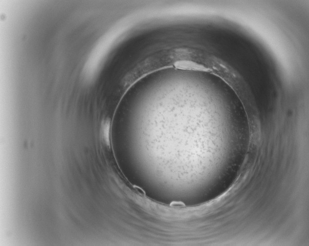 X0000060240047200510311533