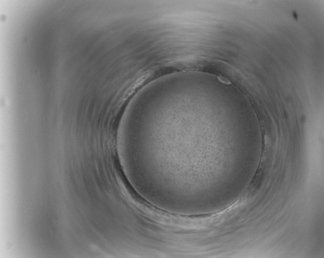 X0000060240048200510311533