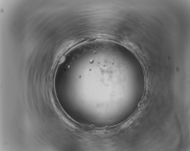 X0000060240049200510311532