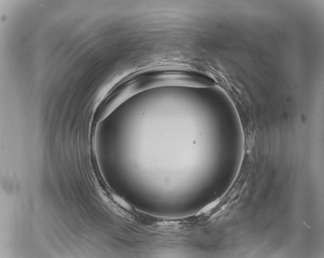 X0000060240052200510311532