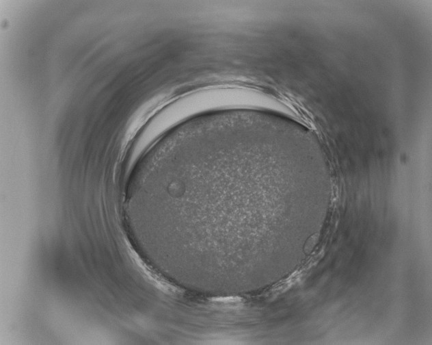 X0000060240053200510311532