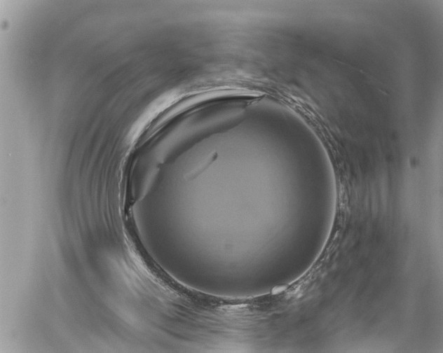 X0000060240054200510311532